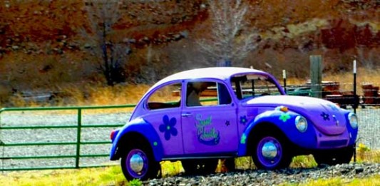 Art Cars Abound Art Car