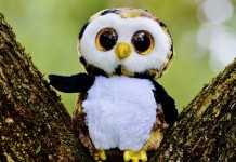 Flashlight buddies Stuffed Owl