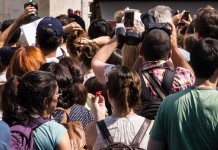 Readership, and the Value of the One Crowd