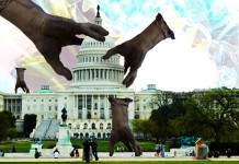 Photoshop, photoshop, how I love thee! Hands invade DC