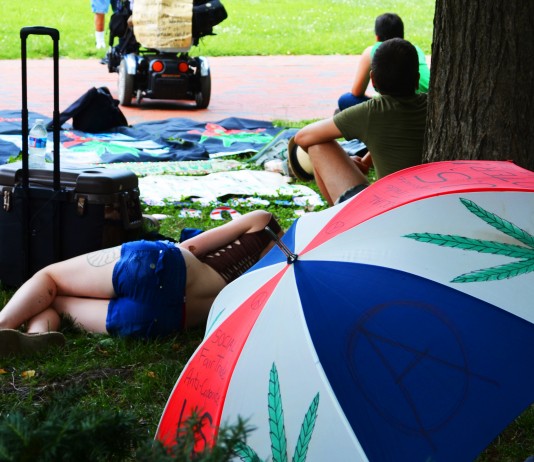 D.C. Protesters on the 4th DC Pot Protest